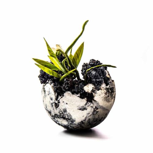 Petite pièce en chocolat, création inspirée par les incendies qui ont ravagé la forêt brésilienne.